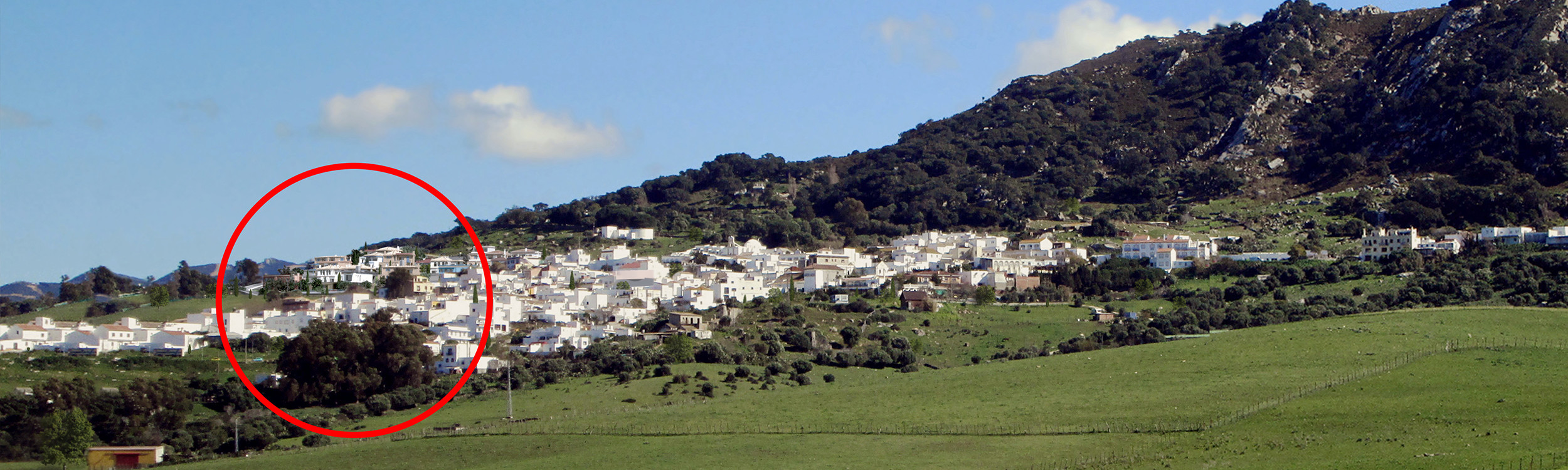 ubi-largo